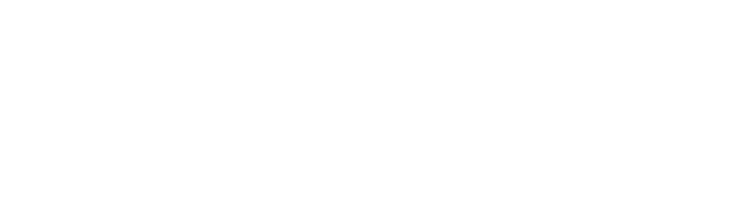 Vinguard Group